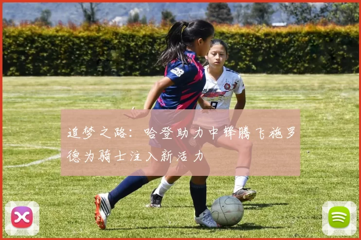 追梦之路：哈登助力中锋腾飞施罗德为骑士注入新活力