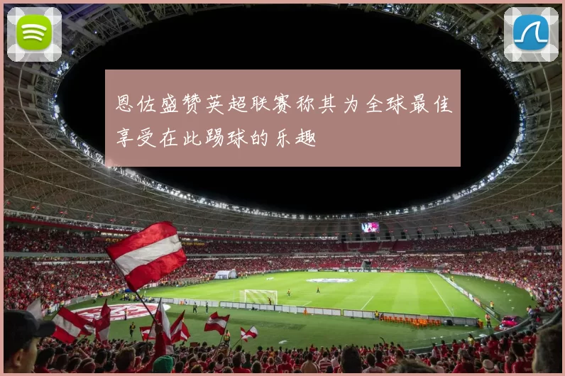 恩佐盛赞英超联赛称其为全球最佳享受在此踢球的乐趣