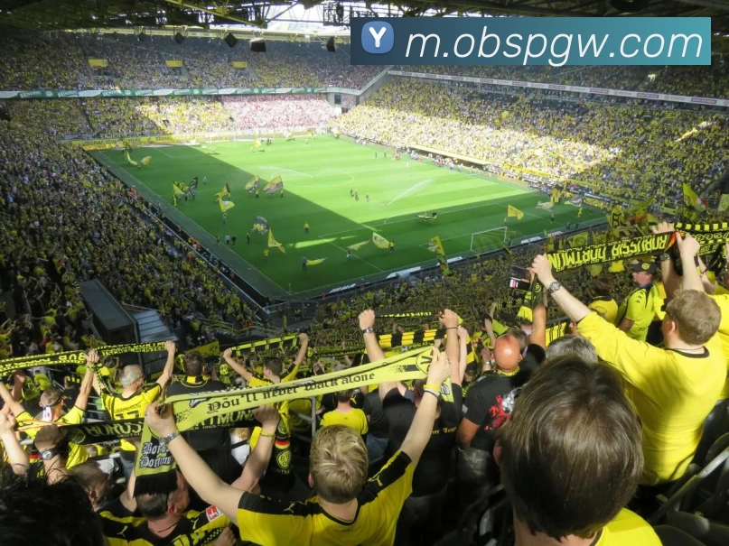 欧宝体育官网APP 高清赛事图